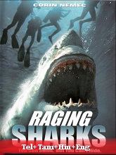 Raging Sharks